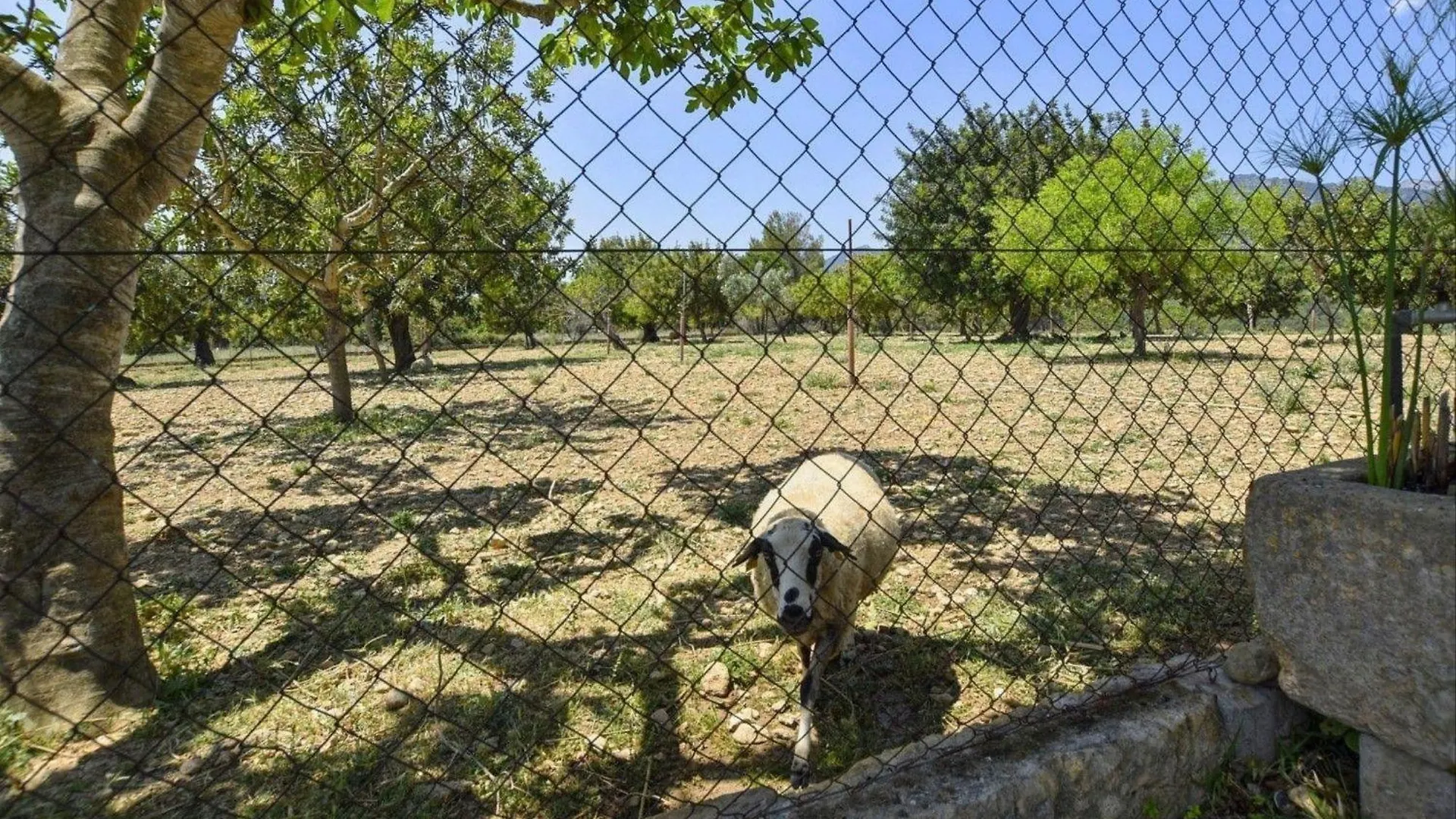 Gemuetliches Ferienhaus In Selva Mit Privatem Pool Selva (Mallorca)